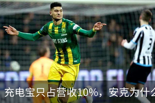 充电宝只占营收10%，安克为什么还要招这么多人？