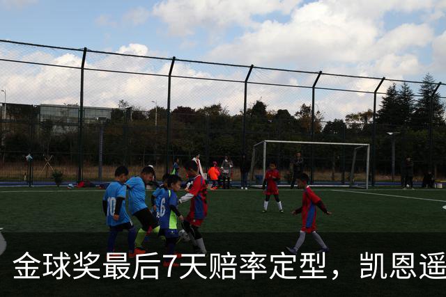 金球奖最后7天赔率定型，凯恩遥遥领先，梅西意外跌至第四